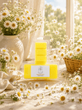 Five bright yellow wax melts in a clear plastic clamshell package with a white label reading 'Inspired by Daisy' and 'Made in Scotland'. The package is styled on a sunlit table surrounded by white daisies, a large vase of daisies, and a wicker basket near a window.