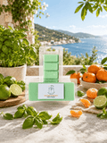 A packaged set of mint green wax melts displayed on a stone surface outdoors, with basil leaves, limes, oranges, and a scenic sea-and-mountains background visible.